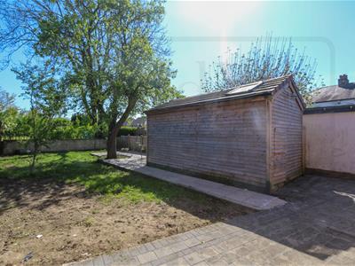 Picture 21